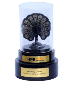 HPE Aruba Innovation Partner of the year FY 24